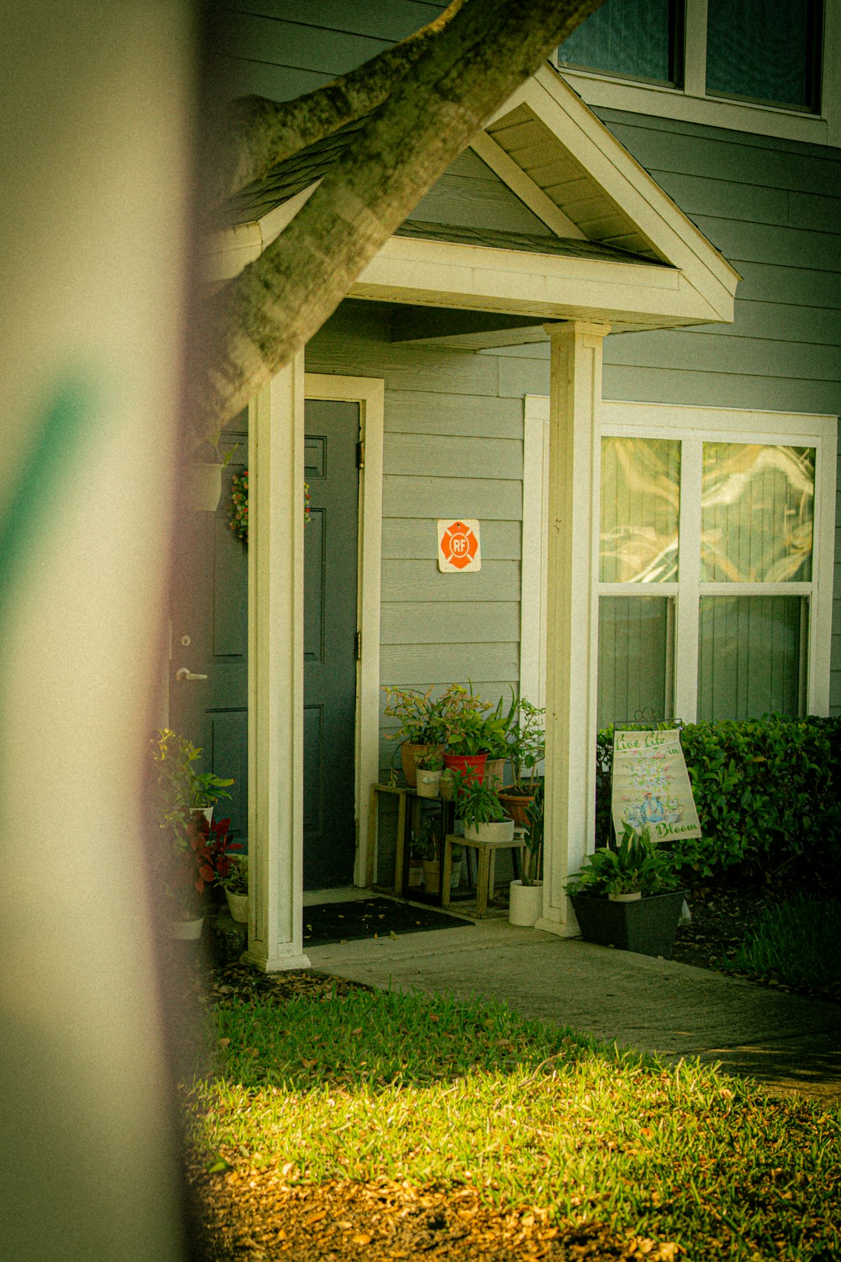 Outdoor & Garden